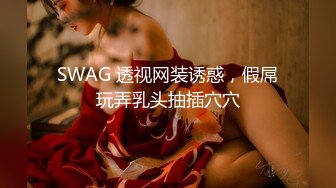 SWAG 透视网装诱惑，假屌玩弄乳头抽插穴穴