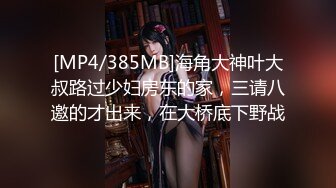 [MP4/385MB]海角大神叶大叔路过少妇房东的家，三请八邀的才出来，在大桥底下野战