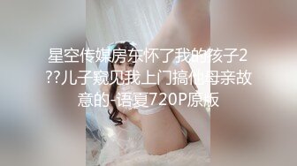 星空传媒房东怀了我的孩子2??儿子窥见我上门搞他母亲故意的-语夏720P原版