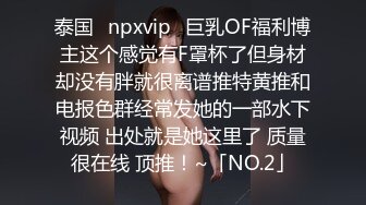 泰国⭐npxvip⭐巨乳OF福利博主这个感觉有F罩杯了但身材却没有胖就很离谱推特黄推和电报色群经常发她的一部水下视频 出处就是她这里了 质量很在线 顶推！~「NO.2」