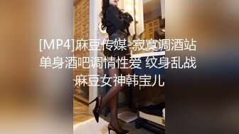 [MP4]麻豆传媒-寂寞调酒站 单身酒吧调情性爱 纹身乱战 麻豆女神韩宝儿