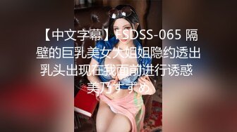 【中文字幕】FSDSS-065 隔壁的巨乳美女大姐姐隐约透出乳头出现在我面前进行诱惑 美乃すずめ