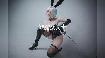 嫩胸女骑士