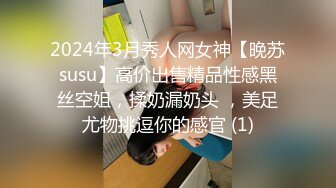 2024年3月秀人网女神【晚苏susu】高价出售精品性感黑丝空姐，揉奶漏奶头 ，美足尤物挑逗你的感官 (1)