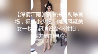 【深情江南】新晋探花劲爆首场，极品小少妇，俏丽风骚美女一枚，超清设备4K偷拍，实力偷拍寻欢