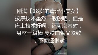 【OnlyFans】极品巨乳肥臀亚裔 NamiGoneWild合集 30