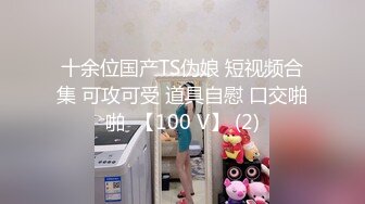 十余位国产TS伪娘 短视频合集 可攻可受 道具自慰 口交啪啪  【100 V】 (2)