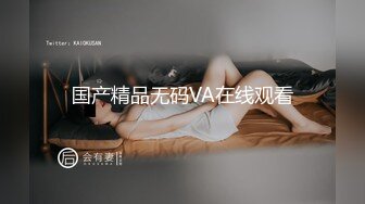 国产精品无码VA在线观看