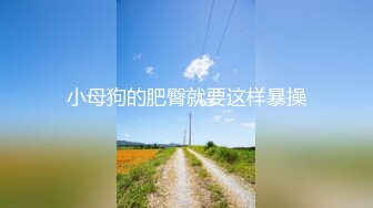 小母狗的肥臀就要这样暴操