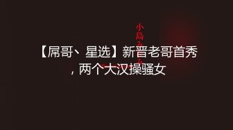 【屌哥丶星选】新晋老哥首秀，两个大汉操骚女