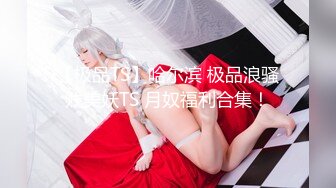 【极品TS】哈尔滨 极品浪骚贱美妖TS 月奴福利合集！