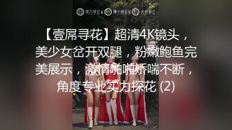 【壹屌寻花】超清4K镜头，美少女岔开双腿，粉嫩鲍鱼完美展示，激情啪啪娇喘不断，角度专业实力探花 (2)